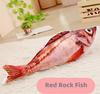 New Pets Plush Simulation Fish Shape Cat Toy Interactive Gifts Fish Catnip Toy Stuffed Pillow Doll 3D Fish Playing Toys for Pet