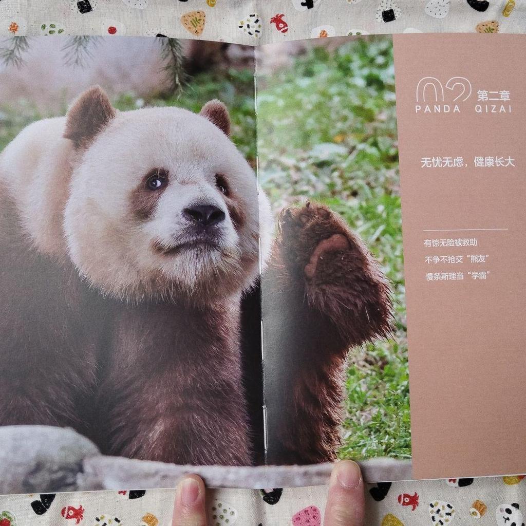 [USED] A rare item! The sixth book in the Panda series, "Seven Pandas
