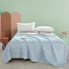 BAIWEISI Ice Silk Cooling Summer Quilt