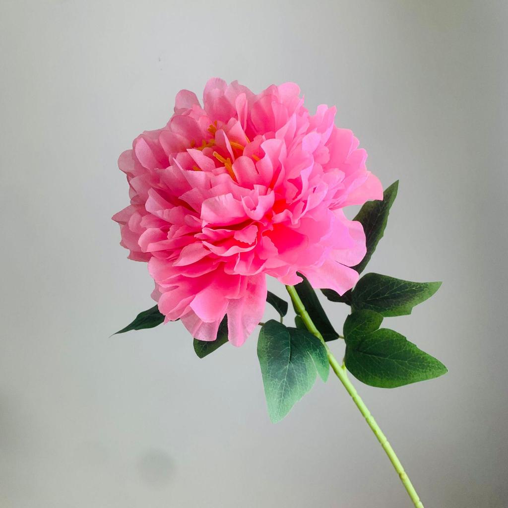 Reiche Pfingstrose Einzelkopf Künstliche Seidenblume für Wohnzimmerdekoration und Tischaufstellung