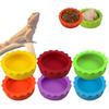 Meow&woof 6 PCS Crested Gecko Food and Water Feeding Cups, Reptile Food Dish, Colorful Water Bowl for Bearded Dragon Tank Terrarium Accessories
