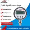 Hongqi YS-100 Digital Precision Pressure Gauge (CN Version)
