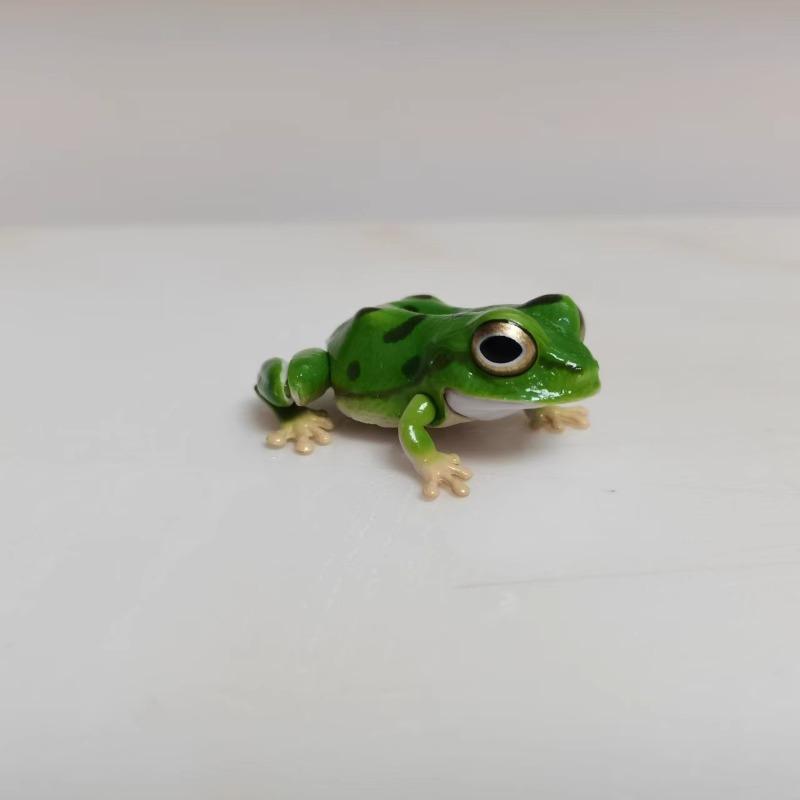 Biologische Enzyklopädie Gashapon Spielzeug Japanischer Laubfrosch Nordost-Regenfrosch Simulierte Bewegliche Tierfiguren Ornamente Spielzeug
