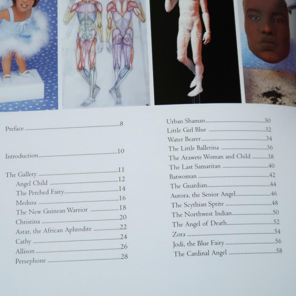 [USED] Foreign Books: Figures in Fabric (creative dolls, cloth dolls, fabric dolls)