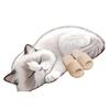 Floor Mat Non-Slip Backing Cat Design Easy Maintenance Versatile Rug Living Room Bathroom Kitchen Home Decor