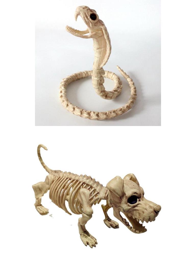 Halloween Skeleton Animal Set: Bat, Spider, Scorpion, Mouse, Snake, Toad & Haunted House Props