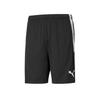 Puma Shorts 27224