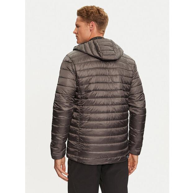 Зимняя куртка Aulp Maxim, серая, стандартный крой