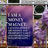 2D Flat, Vintage "I Am A Money Magnet" Metal Wall Decor - Durable Aluminum Sign, Positive Affirmation Plaque for Home, Office, Cafe, Attract
