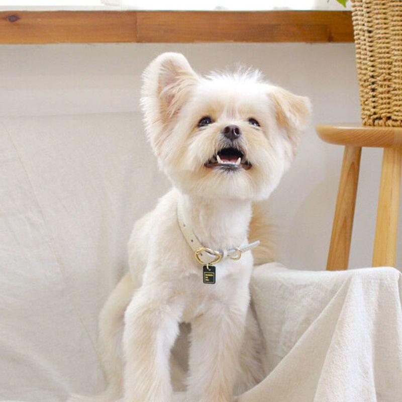 MAISON DE MIU Heart Pendant Collar_White