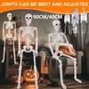 Halloween Realistic Body Bones Life Size Human Skeleton With Posable Joints Simulation Skull Ornament Haunted House Horror Props