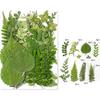 35Pcs Natural Pressed Dried Leaves Set For Candle Making Jewelry Making Art Craft Bookmarks Crafting Scrapbooking