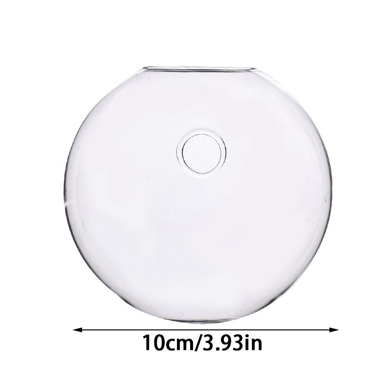 

Настенная стеклянная ваза Подвесной плантатор Гидропонный растение Стеклянная бутылка Ручная выдувка Круглый шар Декоративный 10cm