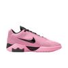 Nike LeBron Witness 9 EP