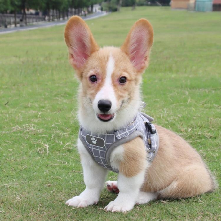 Dog Plaid Vest with Reflective Stripes Dog Harness Leash Pet Doggy Cat Supplies