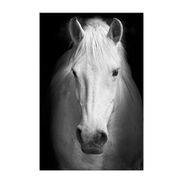 

HAOSHUNDA настенные художественные принты, художественные принты, настенная живопись, белая лошадь, изображение животного для гостиной 21*30cm