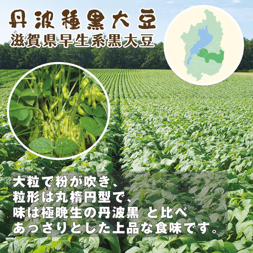 Ganko Chaya Black Bean Tanba 500g x Tea Cold Large Commercial 999488 Tea, Seed, (5g 100p) Bags, Caffeine-Free, Brew, Capacity, Use,