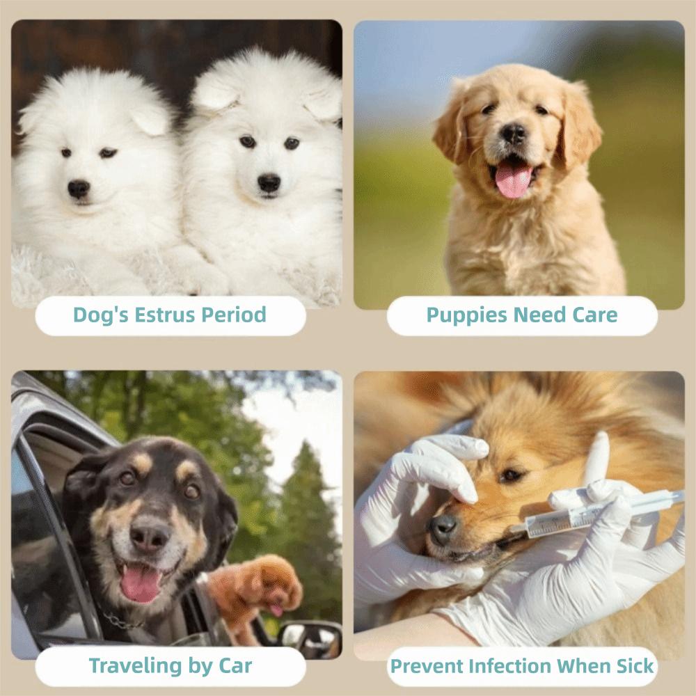 Water-absorbing Sanitary Underwear Washable Pet Diaper for Male Puppy