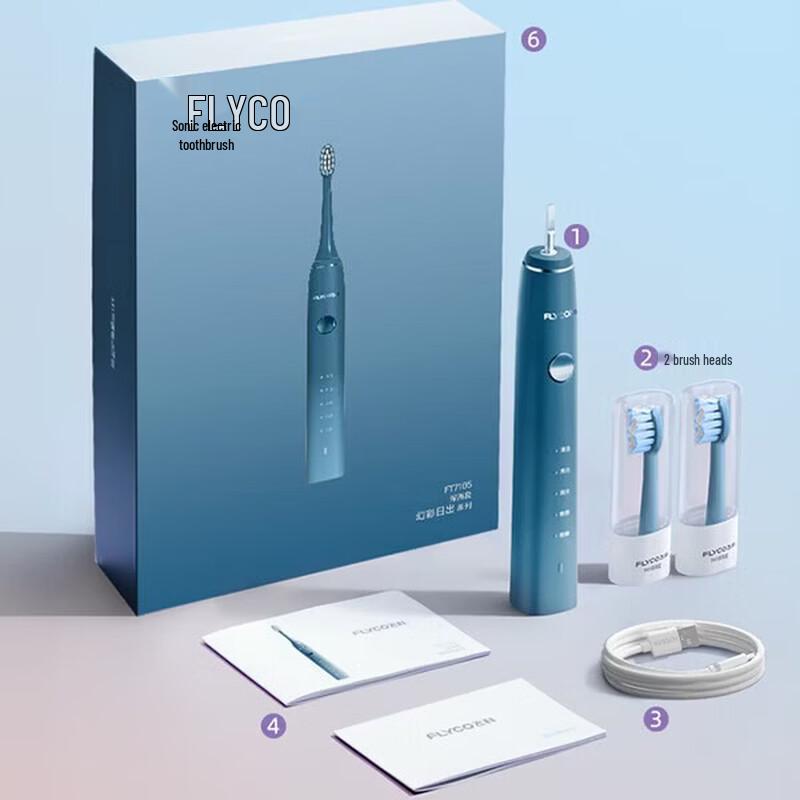 Flyco Sonic Electric Toothbrush for Adults CN plug (adapter included)