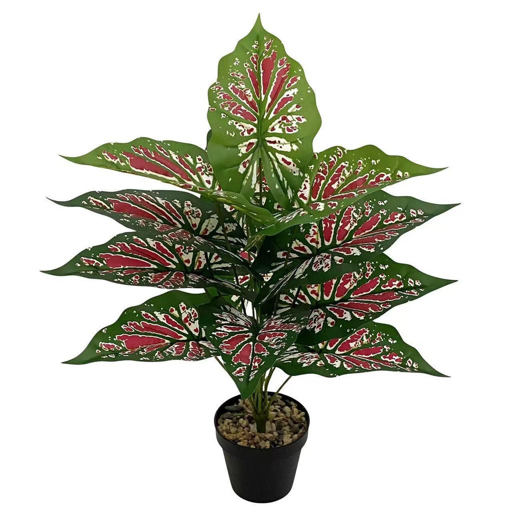 Nordic Style Taro Leaf Green Plant for Home Decor and Garden Landscaping