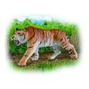 Ania AS-30 Tiger (Wild Ver.)