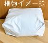 Ranma Mashumocchi Oomori Plush Toy [, tags] 1/2 P-chan