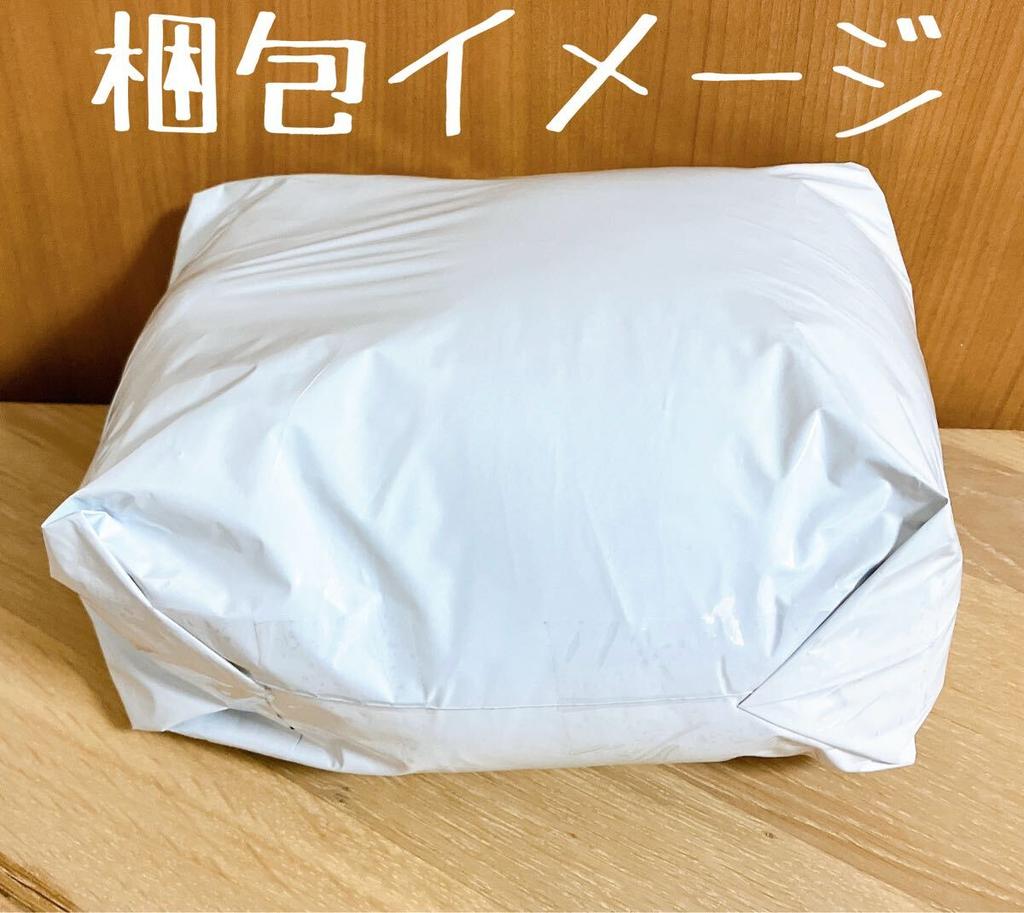 Ranma Mashumocchi Oomori Plush Toy [, tags] 1/2 P-chan