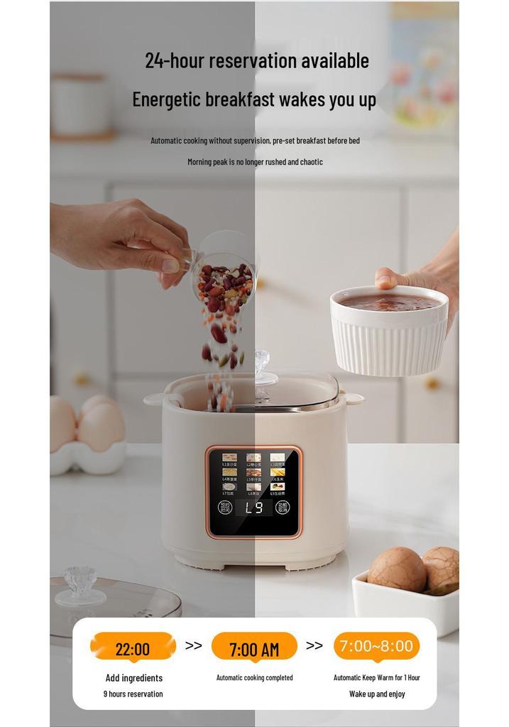 Multi-Functional Mini Egg Cooker for Breakfast, Steamed Egg Cooker 110V, USA, Japan, Taiwan, Canada