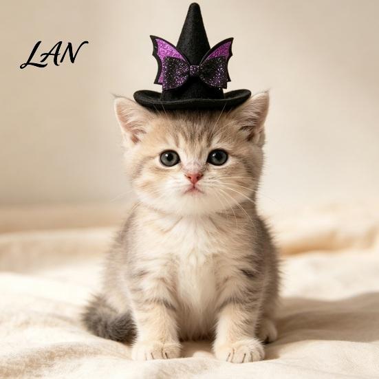 Cosplay Headgear for Dogs Pet Halloween Witch Hat, Bows/Pumpkins Decor, Adjustable Felt Pumpkin Bat Ghost Costume Accessory, Lightweight Comfortable