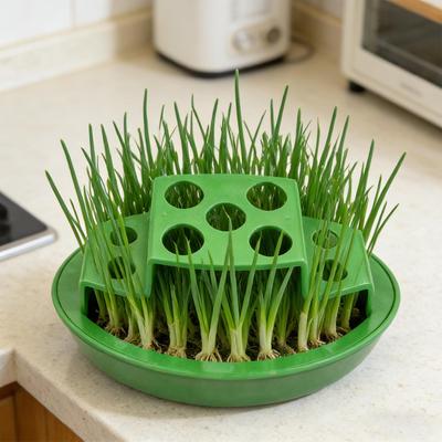 Tuinpotten en -dozen – Kweekcontainers