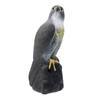 Lifelike Eagle Repellents Sturdy Birds Decoy Hawk Artificial Eagle Statue  Courtyard