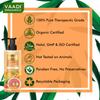 Vaadi Herbals Vitamin C Face Wash With Pro Vitamin B5 & Turmeric Brightening Oil Control Gentle Daily Cleanser 110 ml