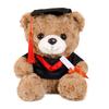 Graduation Bear Doll Make Logo School Emblem Doctor Hat Bear Teddy Bear Doll Plush Toy Doctor School Gift