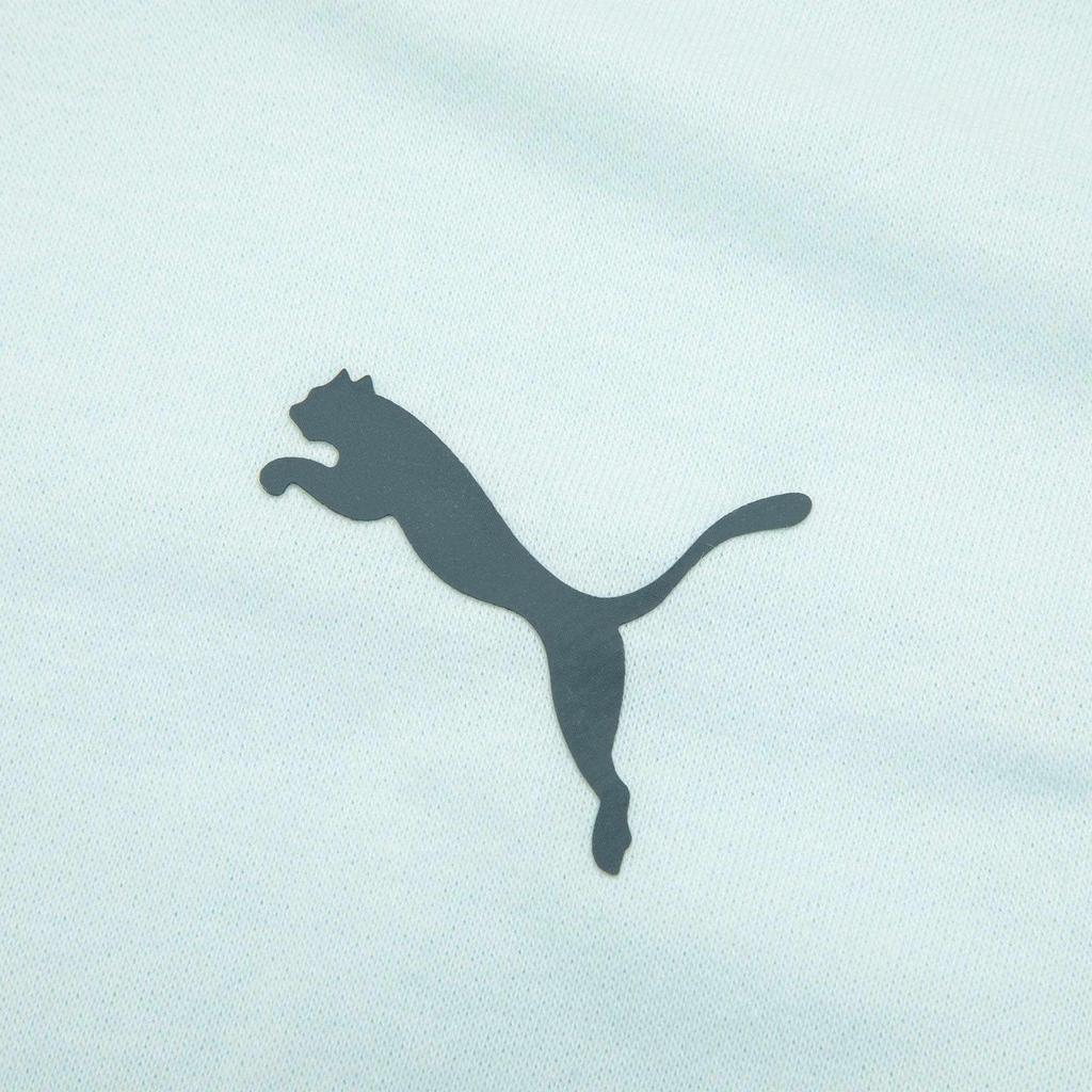 Puma Logo Printed Round Neck Pullover Casual Sweatshirt Men Sweatshirt Blue 521838-20