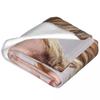 Britney Spears Flannel Blanket American Pop Music Singer Super Warm Throw Blanket for Bed Camping Bedspread Sofa Bed Cover