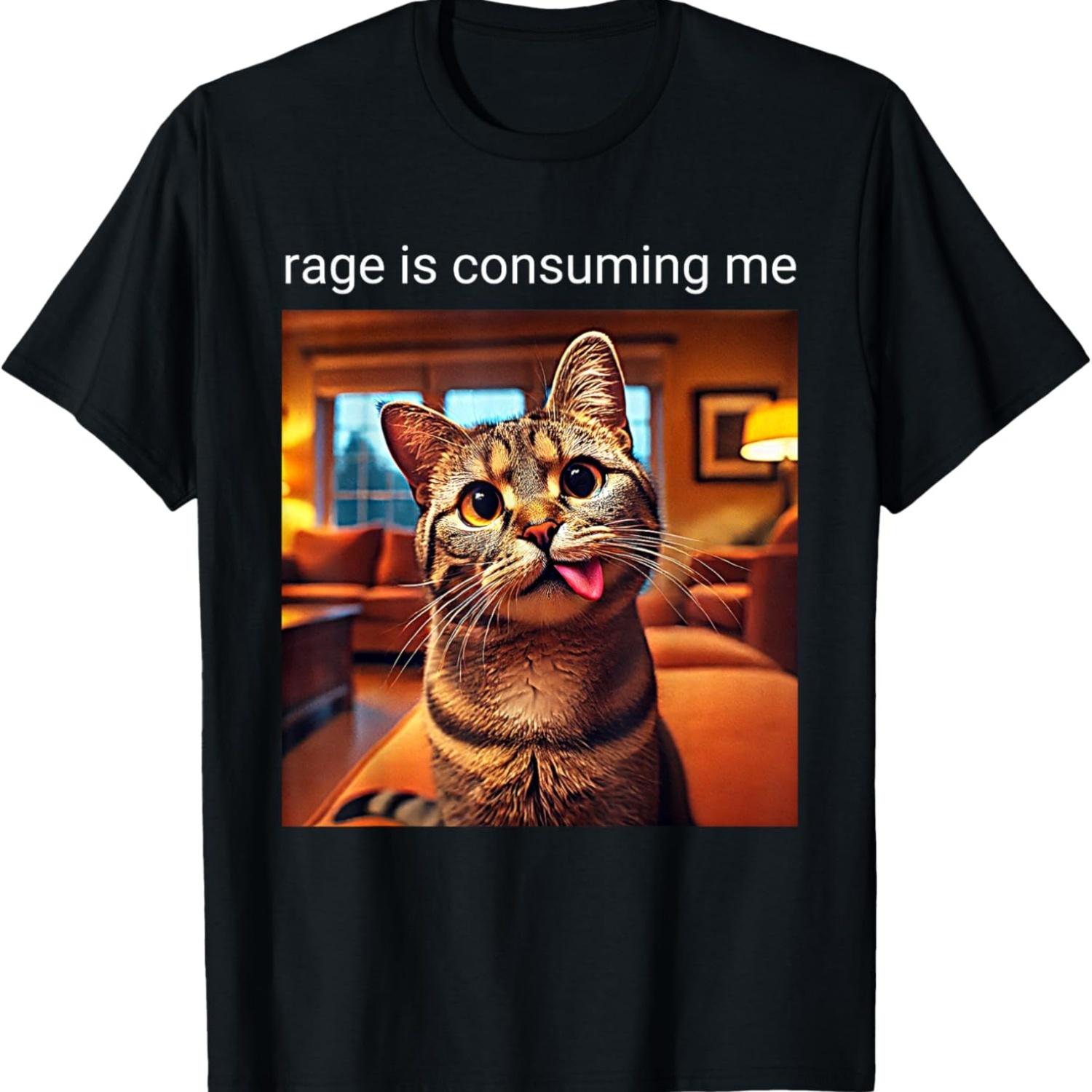 Funny Rage Is Consuming Me Silly Staring Cat Meme T-Shirt(2) S