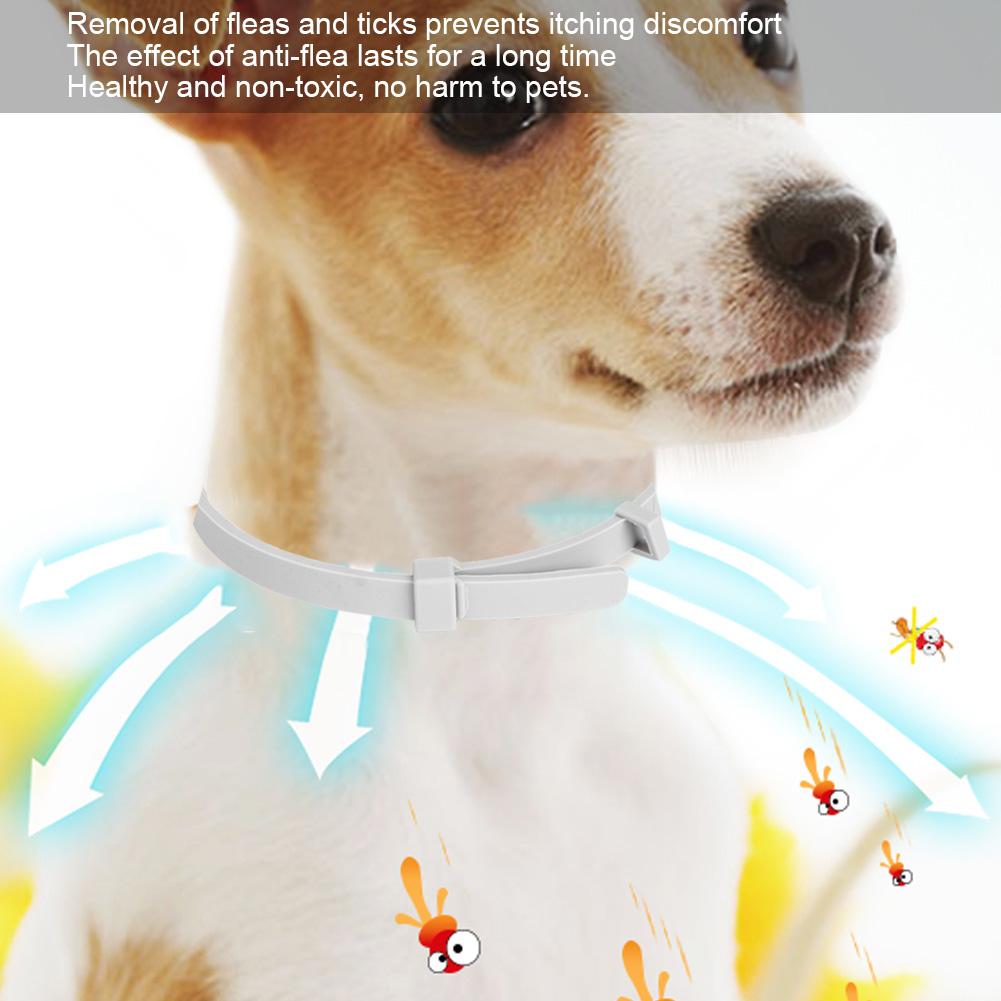 Adjustable Dog Cat Collar Summer Mosquito Flea Repellent Necklace Outdoor Pet Supplies