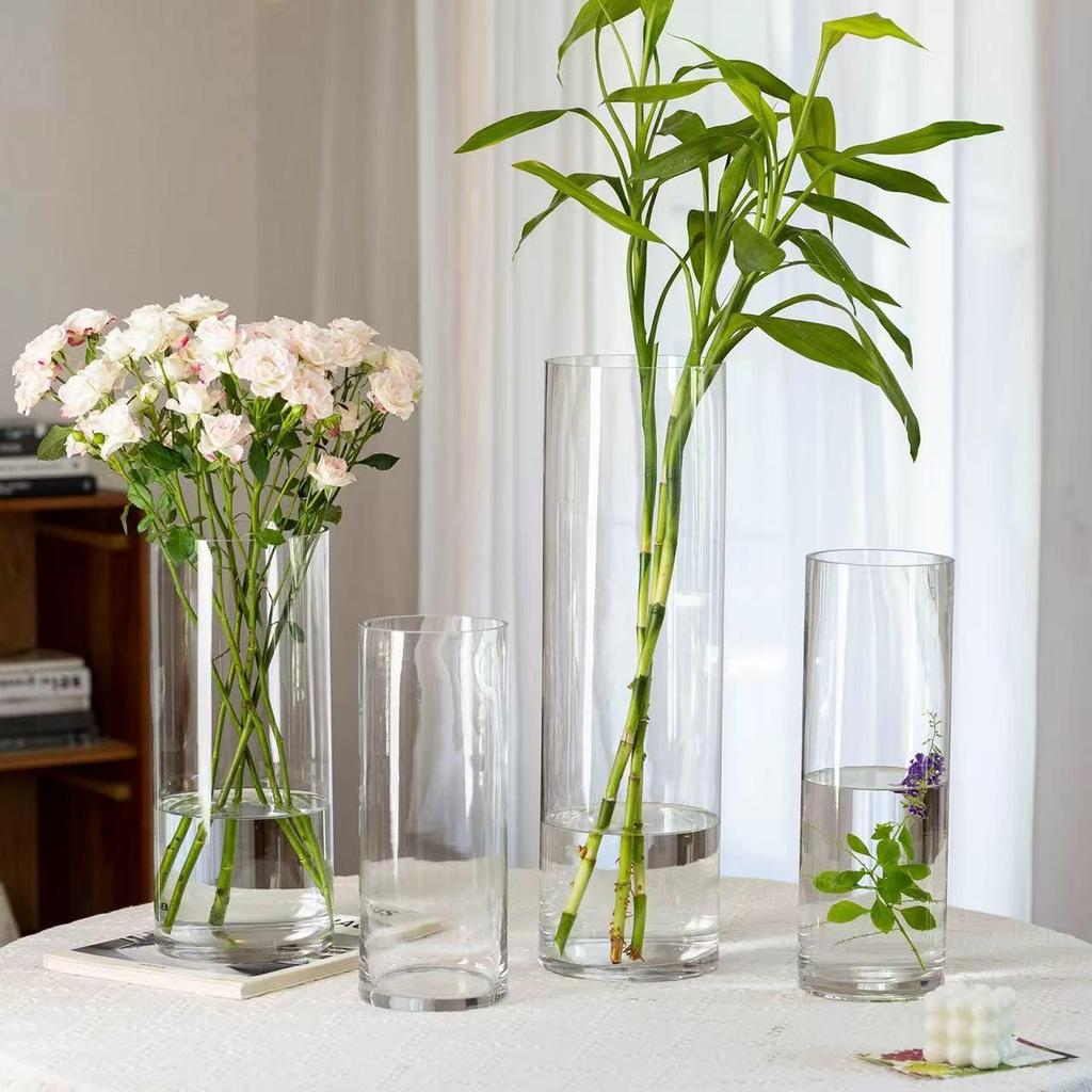 Transparent Glass Flower Vase & Hydroponic Container - Floor Ornament