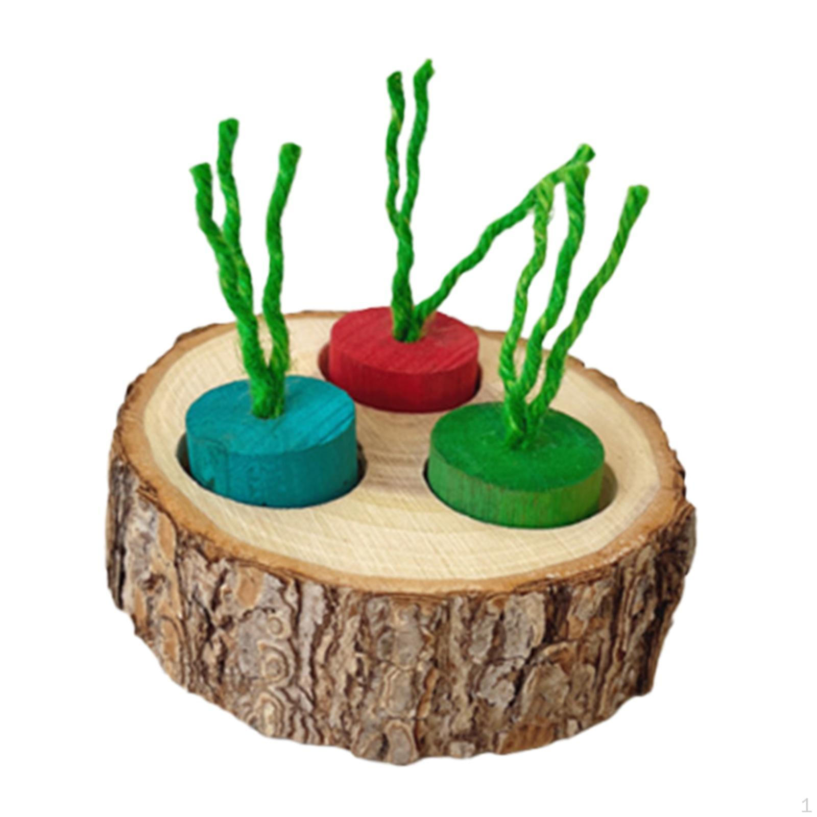 

Іграшка-годівниця для фуражу, збагачення, тварина, смішна, тренувальна, диспенсер для ласощів для піщанки colorful