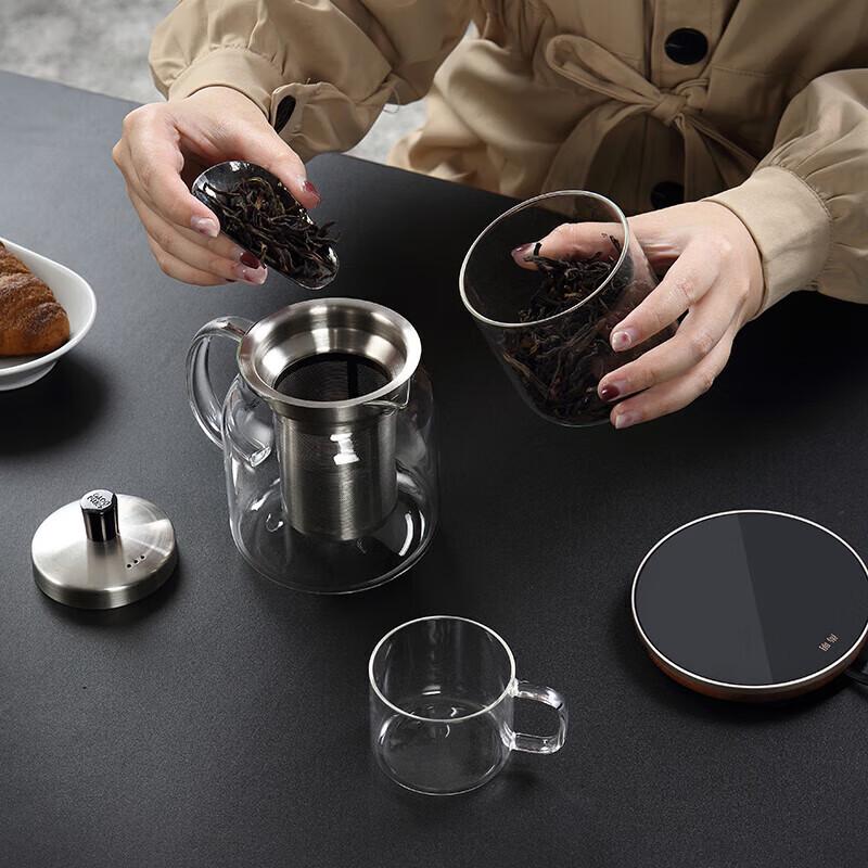 Heat-Resistant Glass Teapot with Stainless Steel Infuser