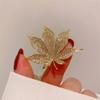 Fire Phoenix Phoenix Brooch Pins Delicate Long Fringe Brooches for Women Men Animal Bird Corsage Clothes Bags Party Accessories