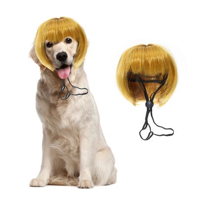 Ayarlanabilir Yumuşak Parlak Renk Kolay Giyilen Giyinme Naylon Elyaf Evcil Köpek Perukları Fotoğrafçılık