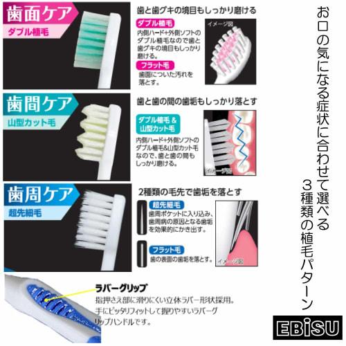 Ebisu Rig Mountain Toothbrush, Regular, 12-Pack