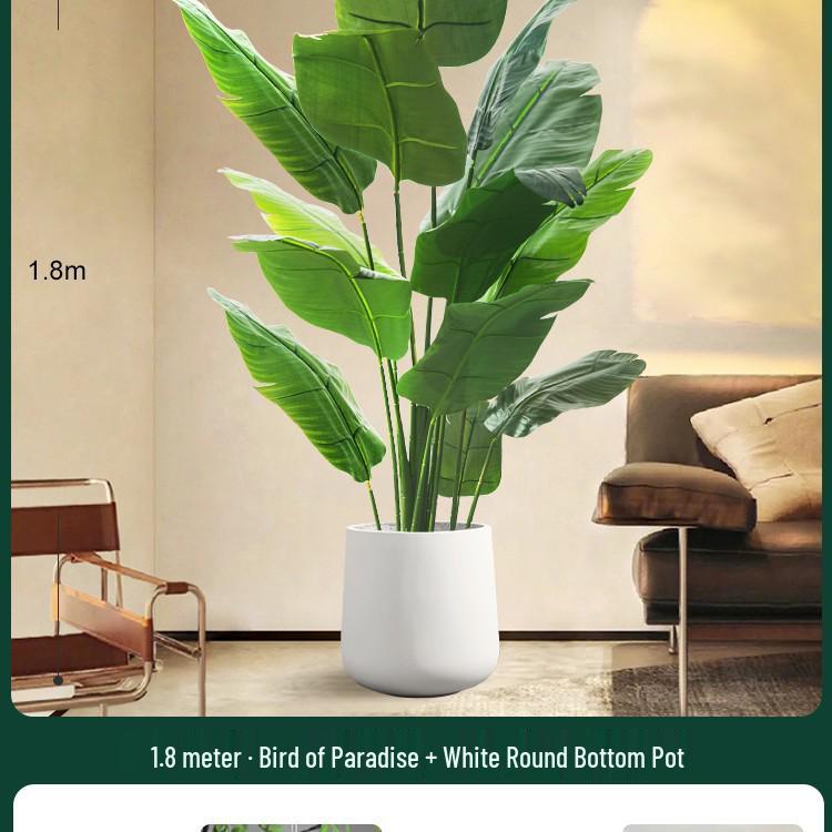 High-End Indoor Bird of Paradise Decor: Luxury Potted Traveler's Palm