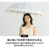 Wpc. Long Umbrella 16 Bone Frame Cut Line Gray Sun Rain / UV Stylish Cute Commuting School Ladies Women