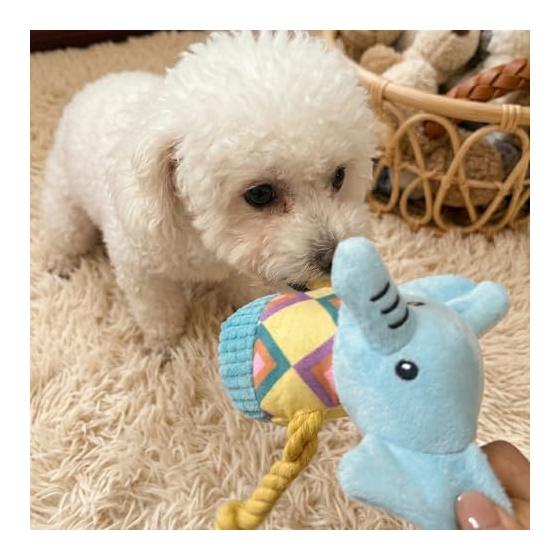 Dog Toy Stuffed Toy Rope [Fangs & Sounds] Dental Care Chew Toy Stress Relief Natural Cotton Durable for Small Dogs, Ultra Small Dogs, Puppies