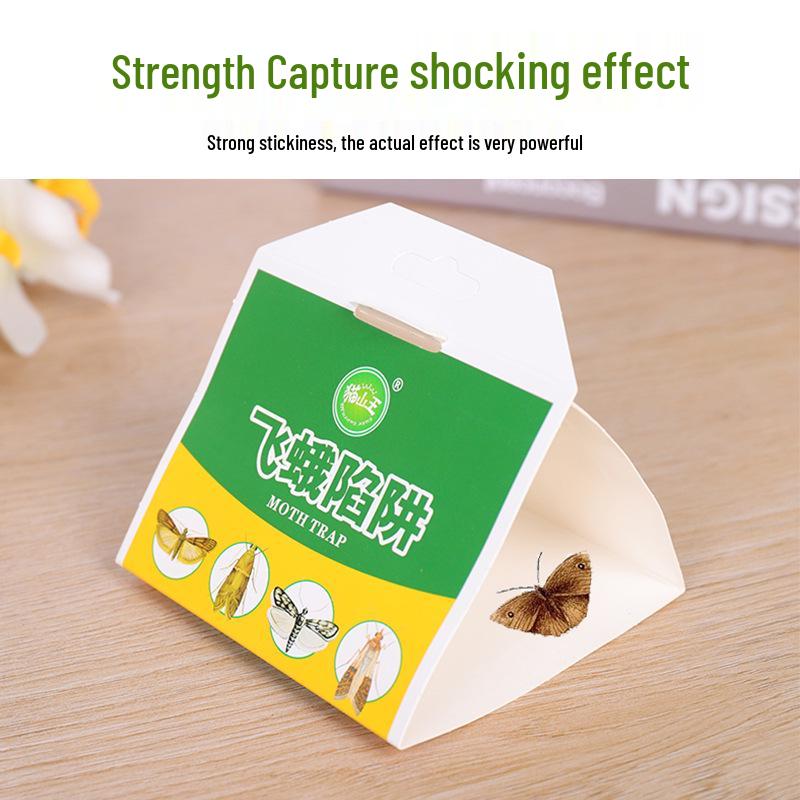Moth & Gnat Trap: Effective Catcher and Killer for Indian Meal and Rice Flour Moths - Single Pack