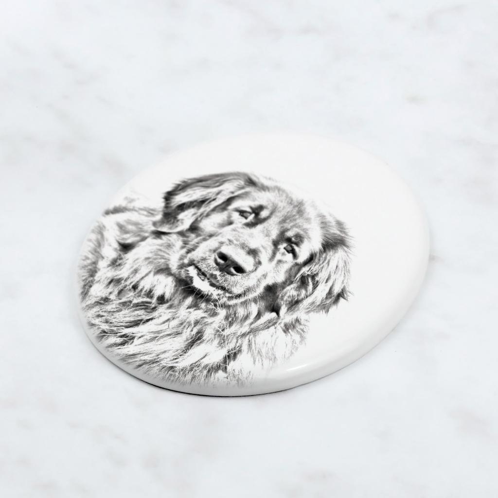 Leonberger - commemorative plaque with a photo of a dog, tombstone with a print, personalized oval plaque from the Art-Dog brand