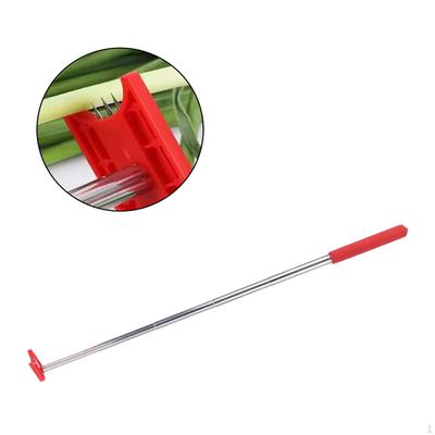 Garlic Scape Extractor with Three Pronged Portable Household Stainless Steel High Efficiency Peeling