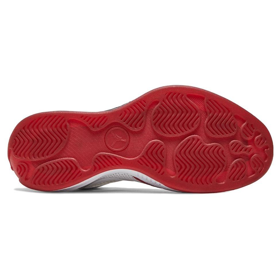 New JORDAN 2010 Welcome Home 387358-101